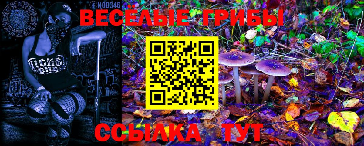 Сергиев Посад  Псилоцибиновые грибы Psilocybe  цена   Вход с VPN 